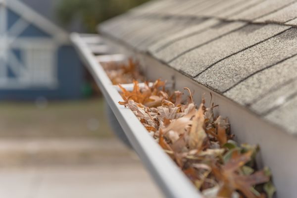 Leaf Barrier Installation in New Castle